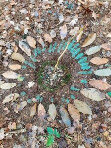 Les mandalas nature